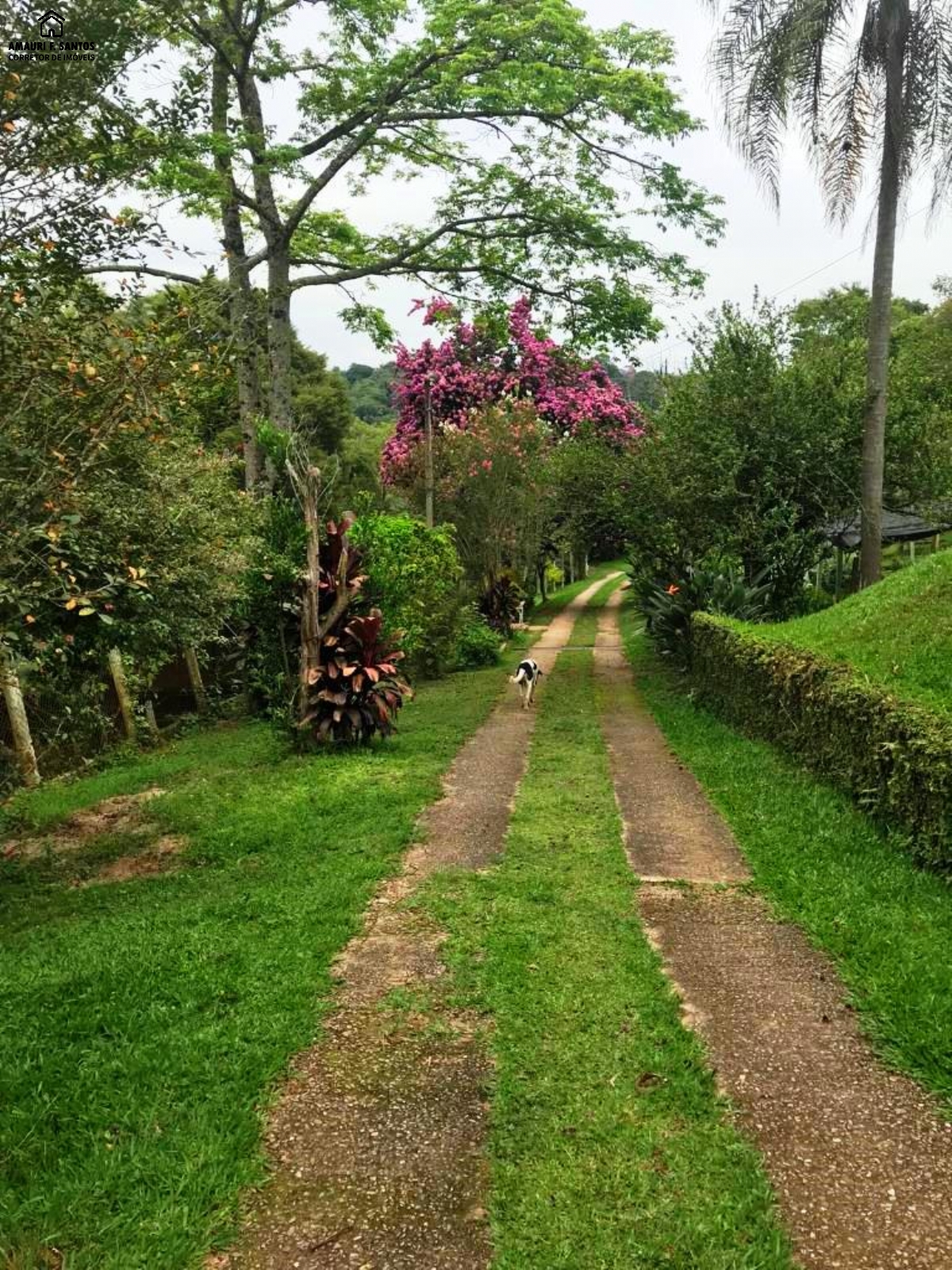 Sítio em , São Roque - Foto 14